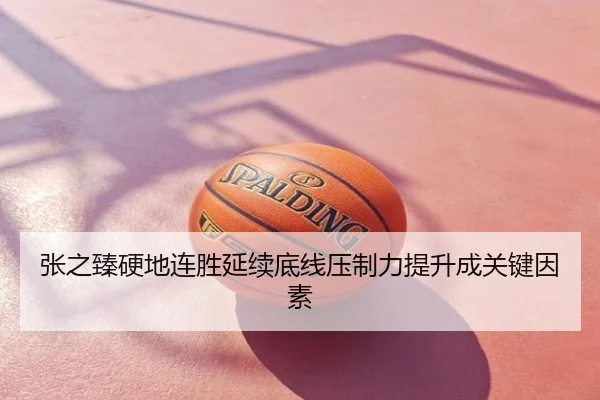 张之臻硬地连胜延续底线压制力提升成关键因素