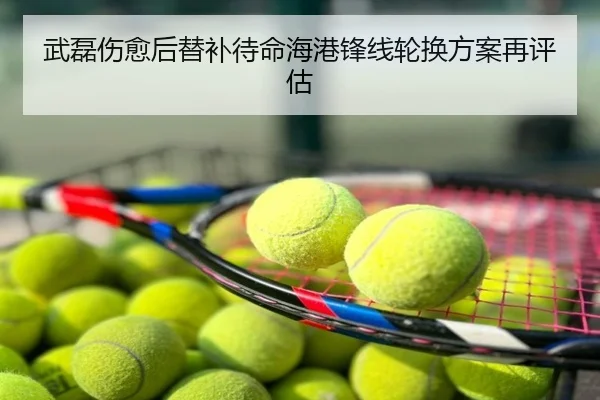 武磊伤愈后替补待命海港锋线轮换方案再评估