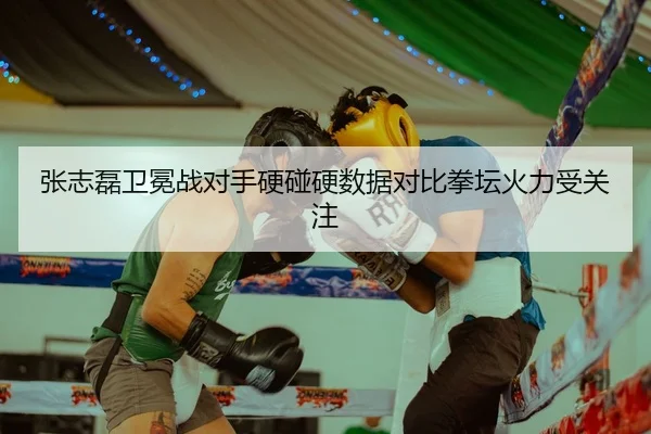 张志磊卫冕战对手硬碰硬数据对比拳坛火力受关注
